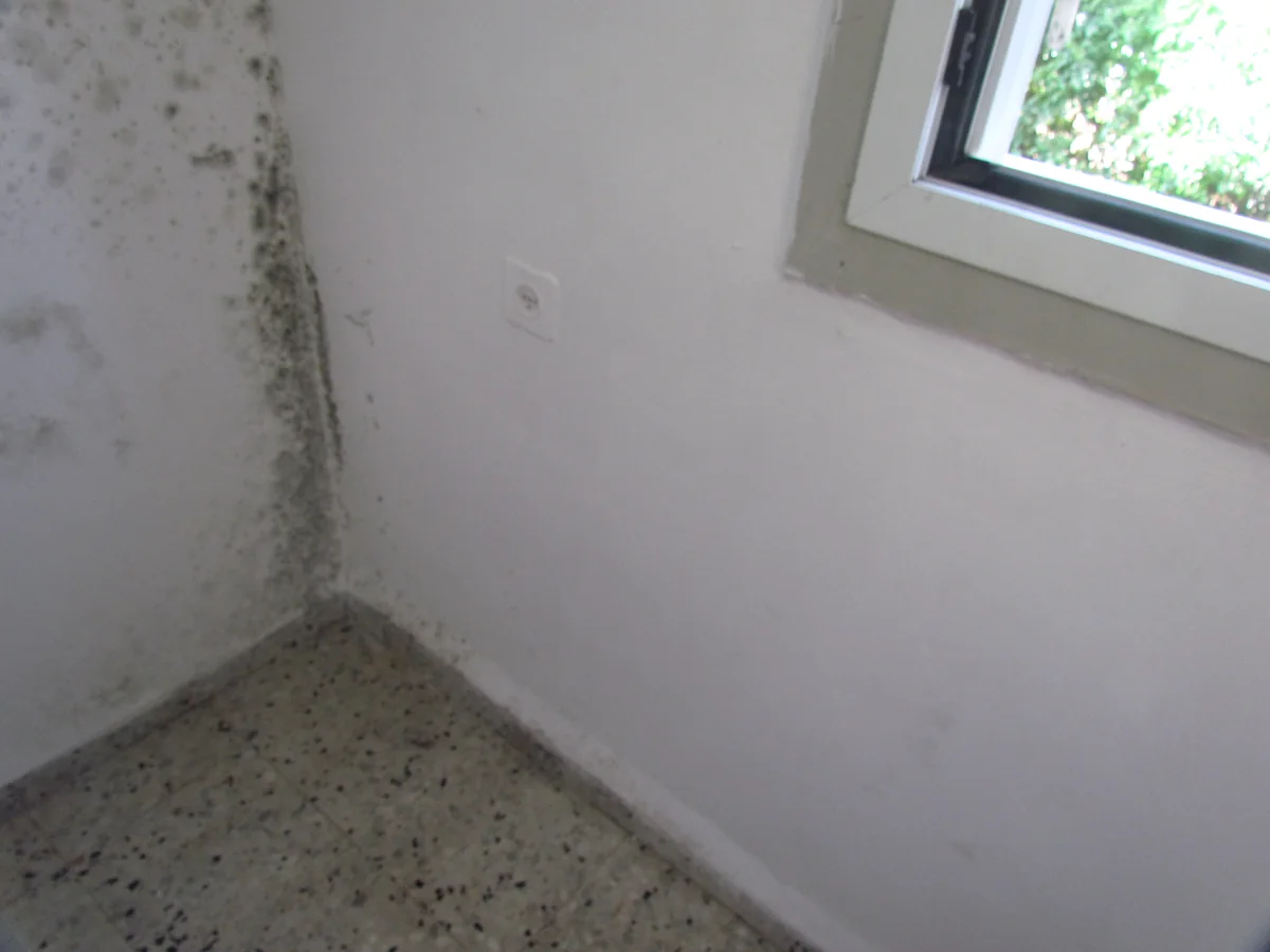 Visible mould and musty odour