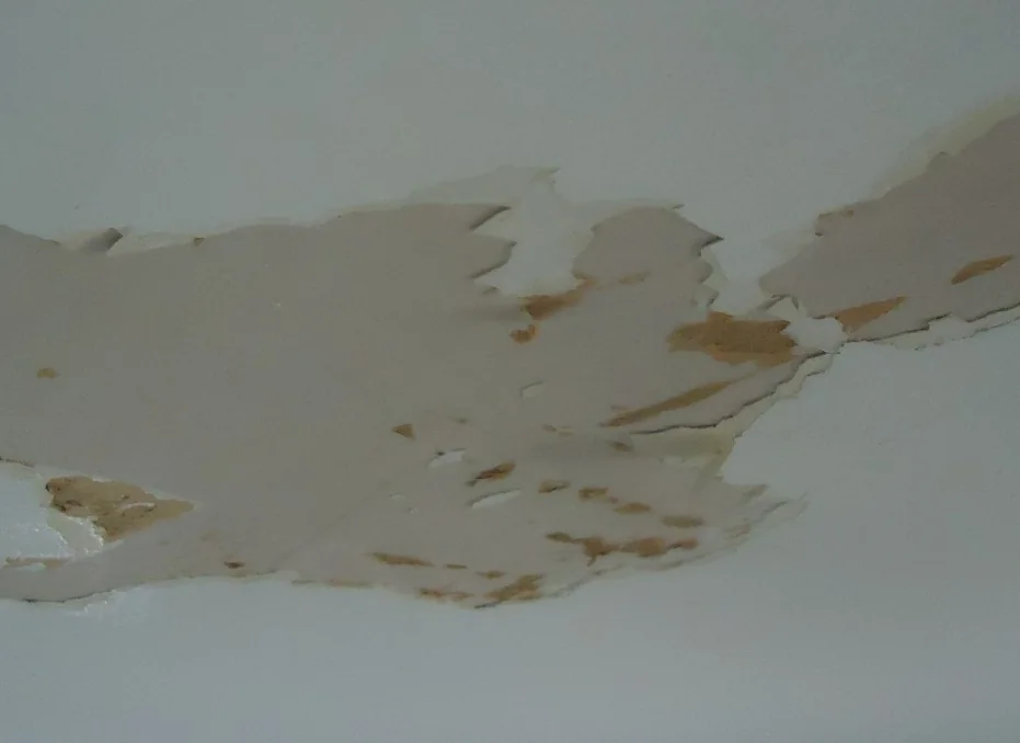 Blistering, peeling or chalking paint