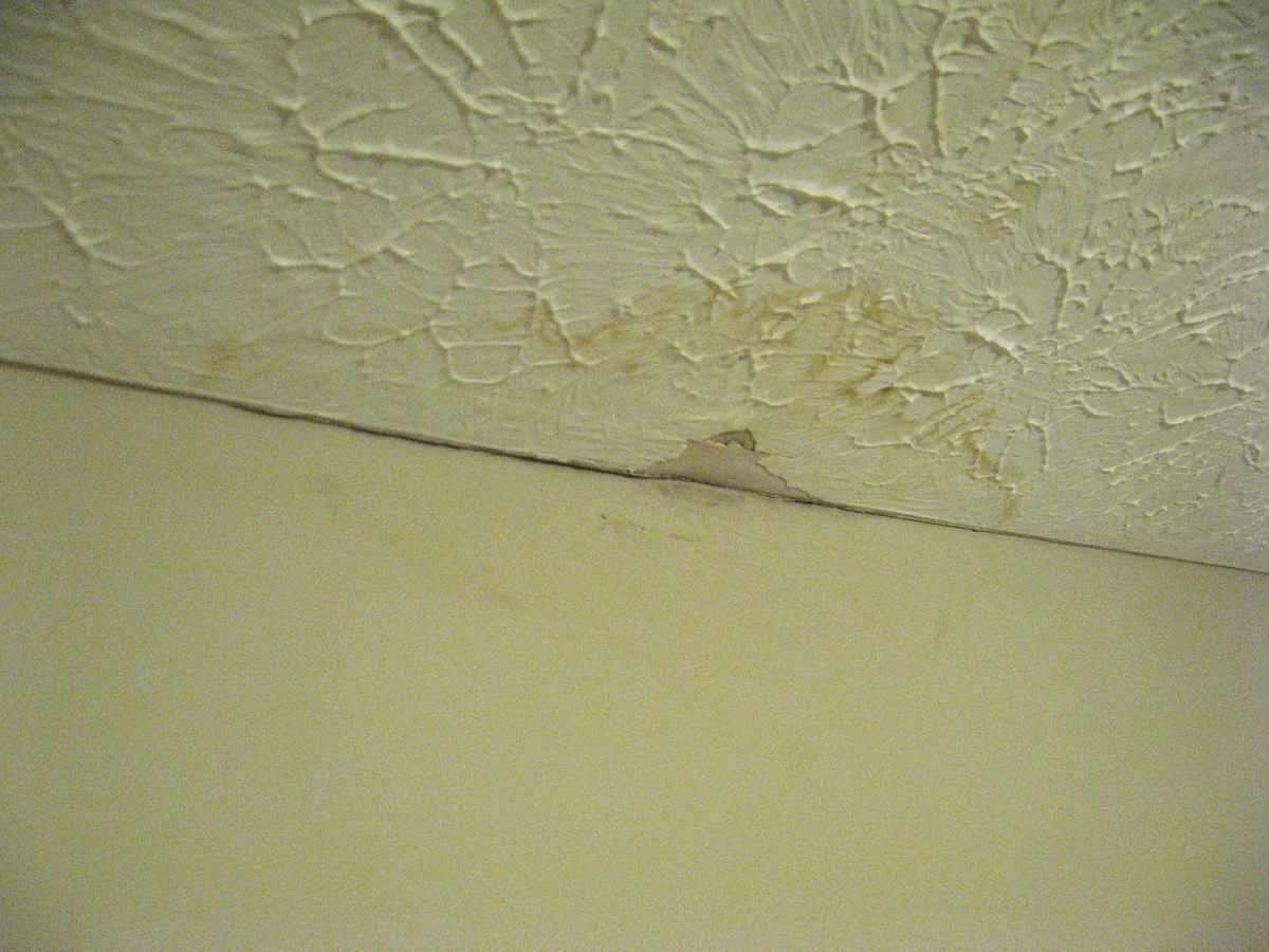 Water stains and active leaks